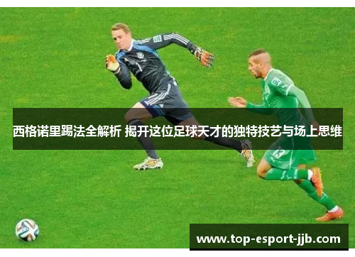 西格诺里踢法全解析 揭开这位足球天才的独特技艺与场上思维
